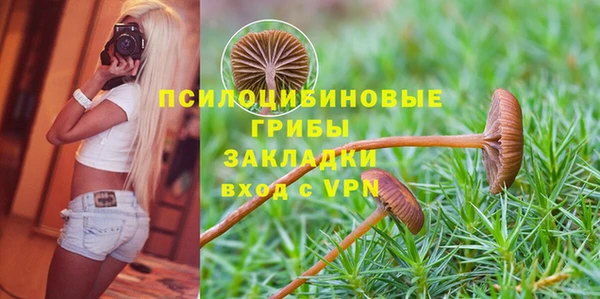 скорость Арсеньев