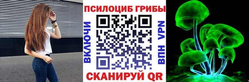 Псилоцибиновые грибы GOLDEN TEACHER  Купить  Перевоз 